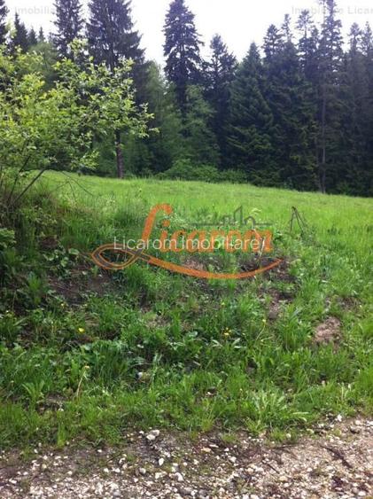 Teren intravilan Cotul Donului,pretabil Hotel/pensiune. - 13