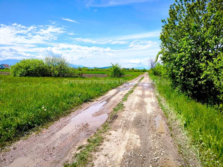 Oportunitate de Investiție. Teren 5.000 mp în Podul Oltului. - 4
