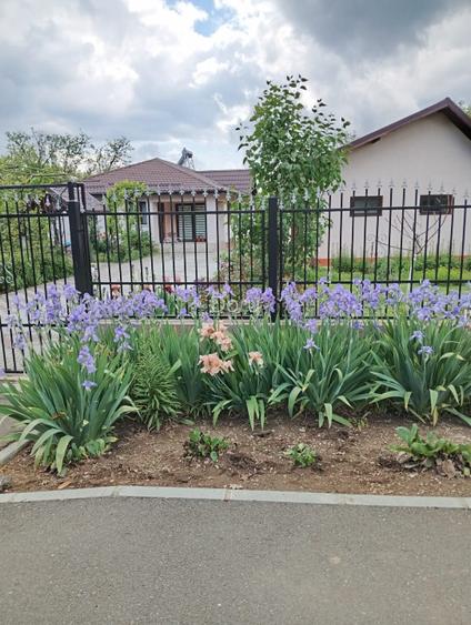 Confort si relaxare aproape de București, oraș Titu, Dâmbovița, negociabil - 2