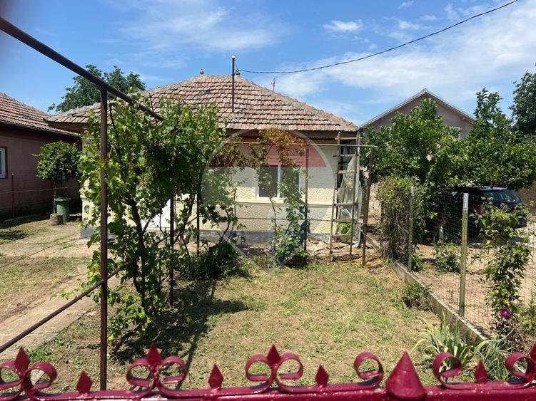 Teren 1192 mp cu livadă matură + casă + utilități | Lipia, Gruiu