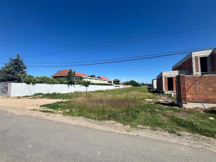 Lugoj, Teren 2.650 Mp. Front 19 ml., La Ieșire Spre Caransebeș - 7