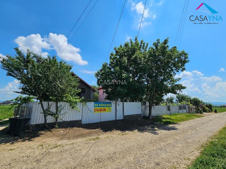Luizi Calugara , casa cu 600mp teren in Cartierul Nou. - 2