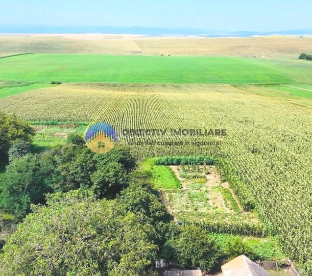 TEREN intravilan  9.126 mp - comuna STEFAN cel MARE - 6