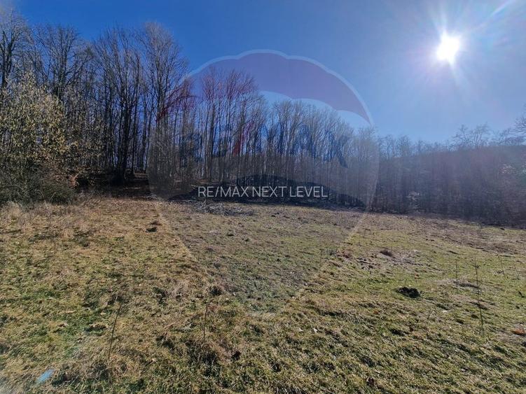 Teren de Vânzare în Pâncești (Sascut) - 6