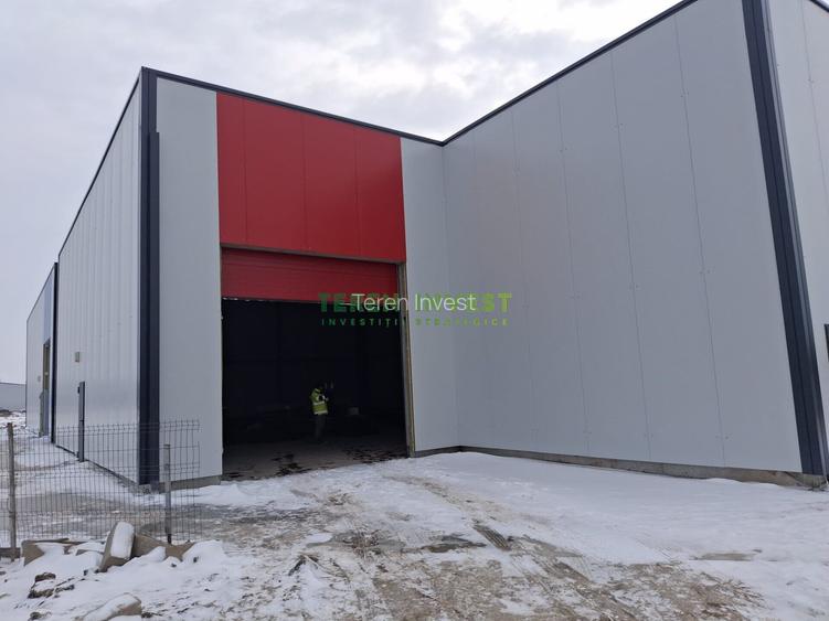 Hala depozitare -  Cernica – Theodor Pallady - 5