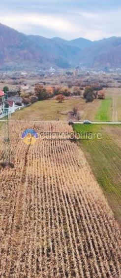 Teren intravilan de vanzare 5533 mp – Alexandru cel Bun - 10