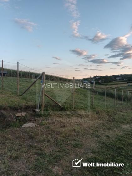 Teren cu potential, pentru investitie - 2