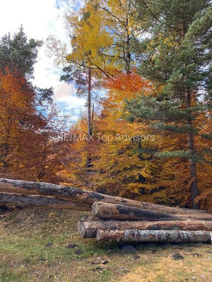 DE VANZARE Pensiune | 12 camere | Bisoca / Buzau - 26
