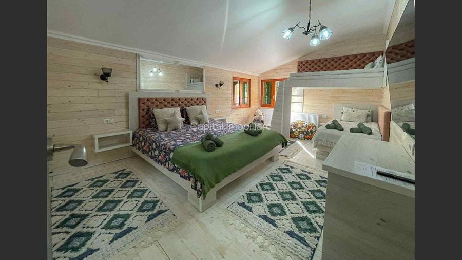 Casa de vacanta superba in Crivaia - 4