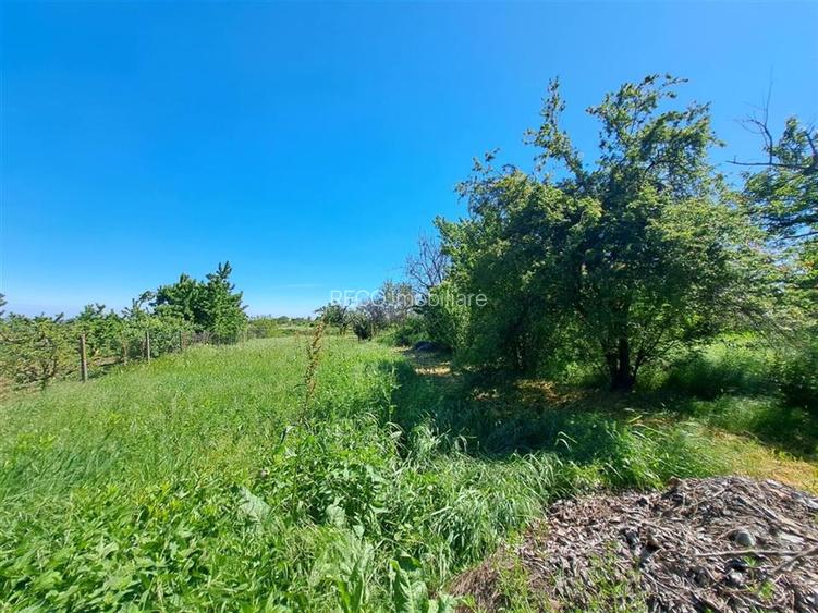 RECO Casa cu pivnita Sisterea - 15