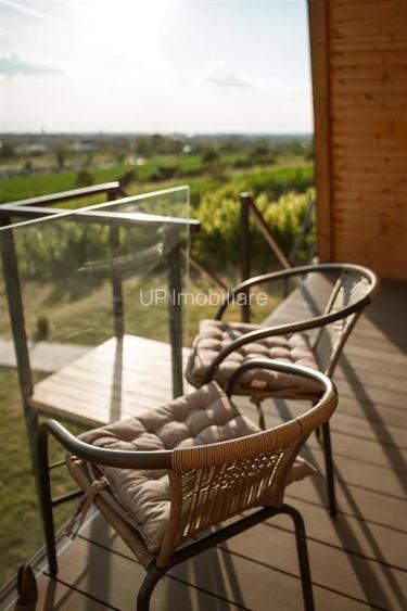 COMPLEX TURISTIC | SAT RONTAU | ZONA BAILE 1 MAI | BIHOR - 7