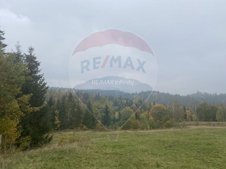 Teren de vanzare 8119 mp Calatele Padure.Muntii Apuseni - 15