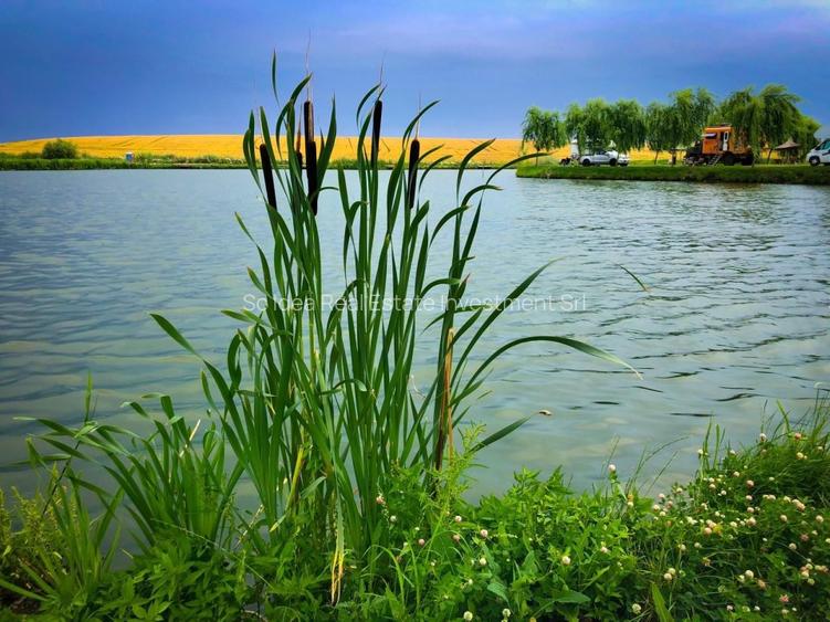 Proprietate exclusivista ideala ca proiect pentru investitie!! - 6