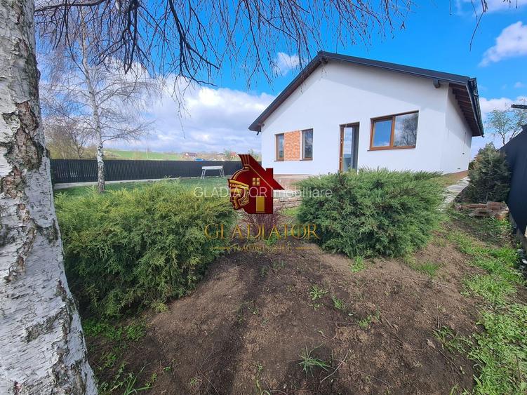 Casa plan parter deosebita, Lunca Cetatuii Ciurea, la asfalt, zona vis - 12