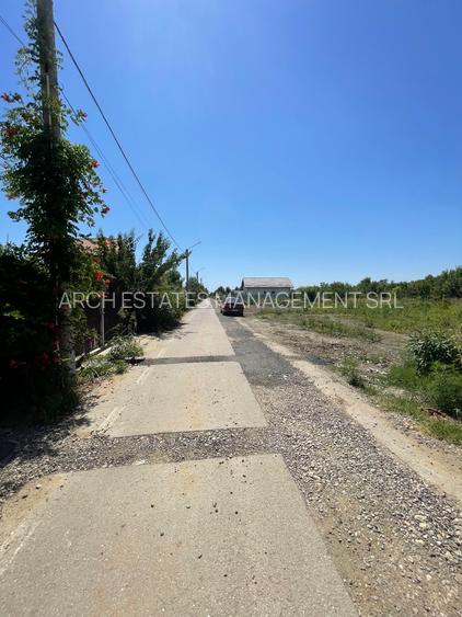 Ordoreanu, Clinceni, Padure - 2