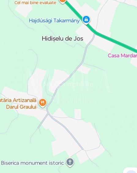 Teren extravilan agricol de vanzare in Hidiselul de Sus - 2