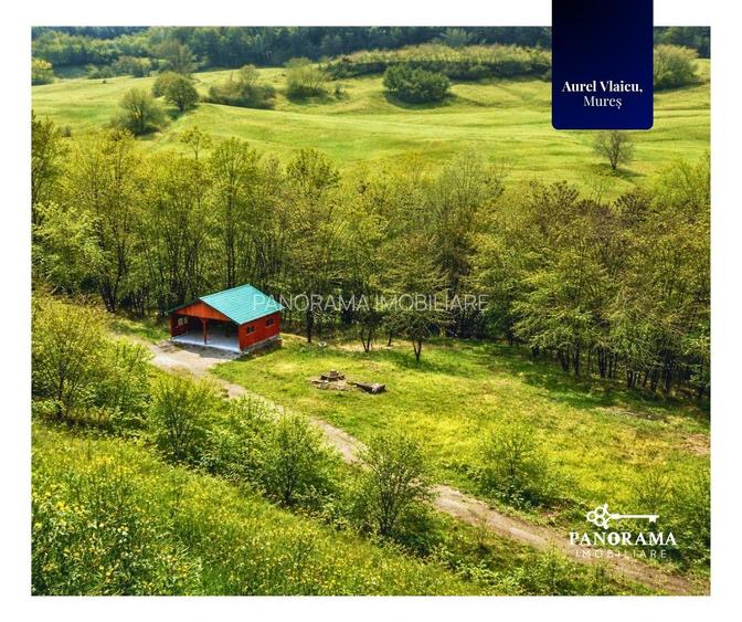 Teren 5.144 mp în Aurel Vlaicu, Sighișoara –excelent pt investiții - 6