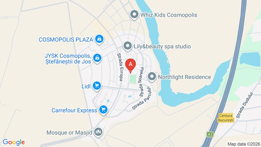 VANZARE VILA COSMOPOLIS 3 camere | 80 mp Utili si 50 mp Terasa & Gradina  - 13