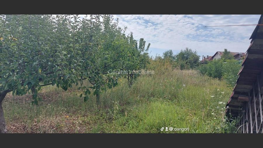 Proprietate cu doua imobile, com Dragutesti. Comision 0% - 19