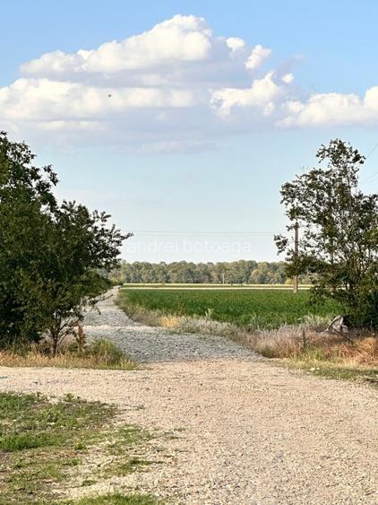 Vânzare teren intravilan 9100 mp – Str. Găterului, Orașul Răcari, Dâmbovița - 12