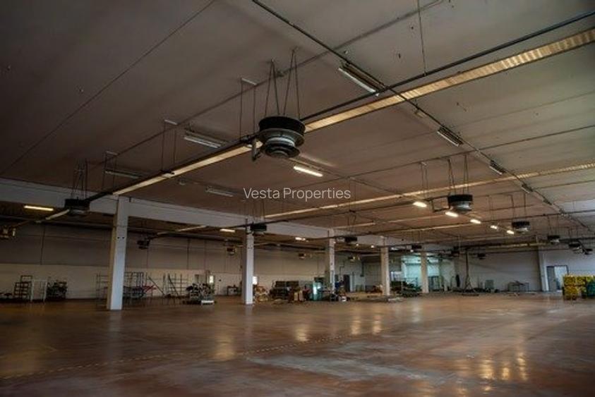 HALA ALBASTELELOR DE VANZARE/INCHIRIAT - 10