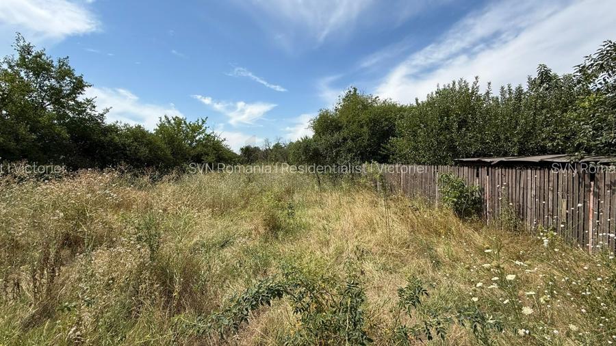 REL4001178 Teren I De Vanzare I Domnesti - 2