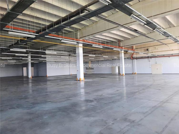 Spatiu Industrial - 5000 mp - Productie - Depozitare - 3