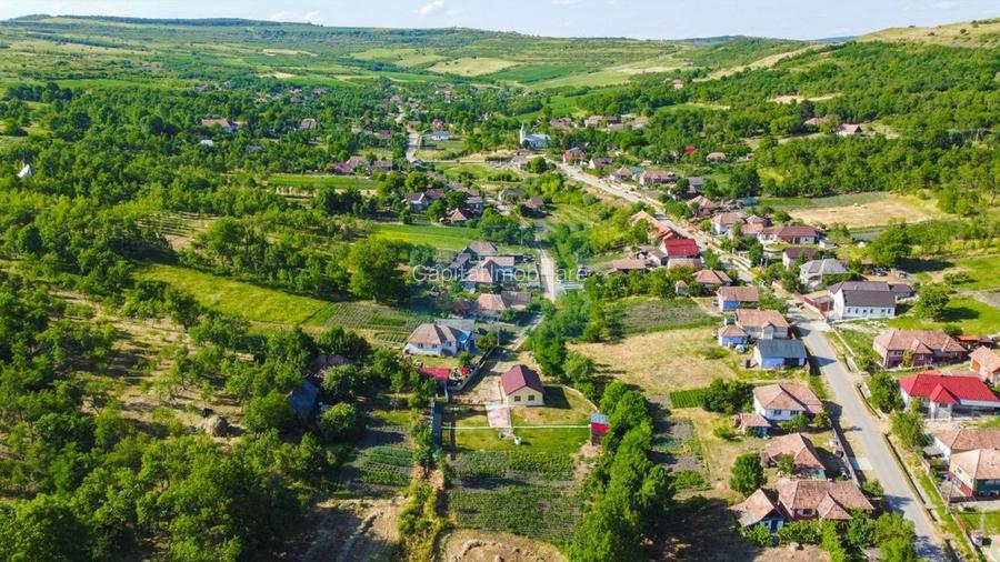 Casa cu teren de 3100 mp de vanzare in comuna Cornesti - 15