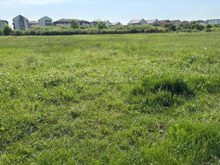 Teren 1239 mp front 29 in Aradul nou - 8