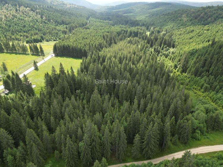 Teren extravilan 5000 MP Comandau - 10