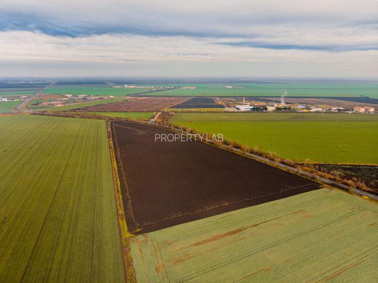 Teren la sosea cu 420 m front stradal - 6