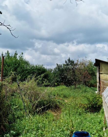 Casă Spațioasă 190 mp + Spațiu Comercial – Mircea Vodă, Dâmbovița - 17