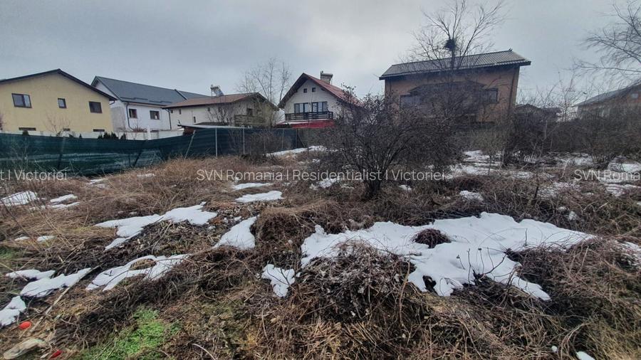 REL4001263 Teren 1000mp I De Vanzare I Cernica I Pantelimon - 2