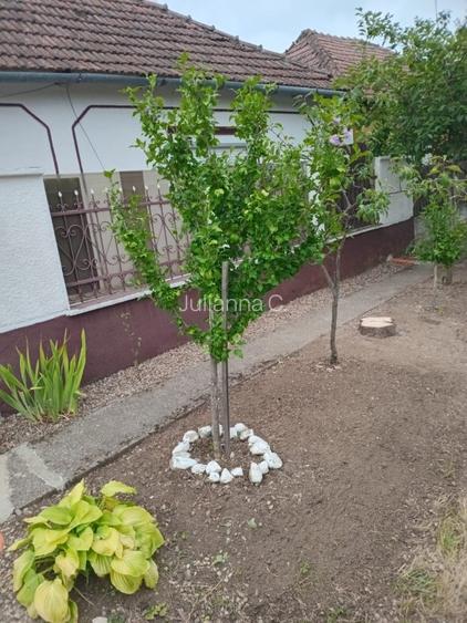 Casă cu panoramă la pădure, aproape de lacul de agrement  - 11