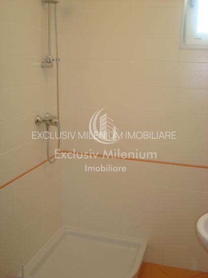 Spatiu Birouri la casa Tei-Barcu Vacarescu - 8