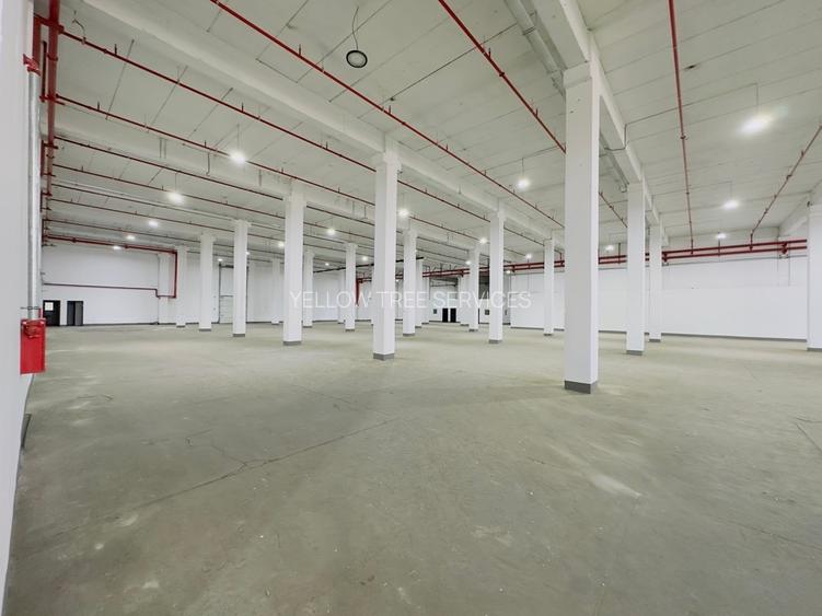 Spatiu depozitare| Militari | Valea Cascadelor | 2500 mp - 13