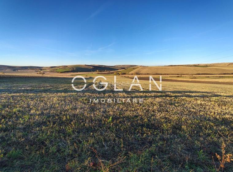 Teren intravilan cu PUZ pentru investitie - 26.100 mp - Sura Mare - 6