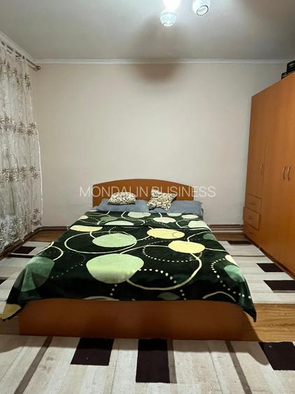 Casă 5 camere, 7700 mp teren ,Comuna Ineu. - 18