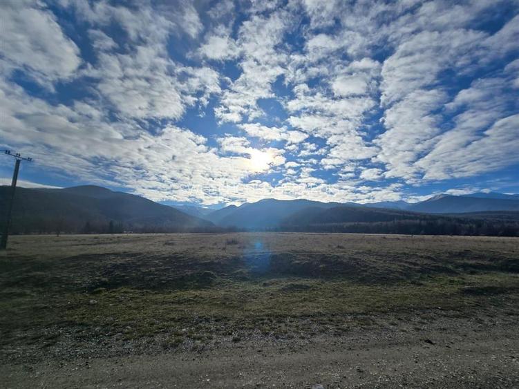 Teren de vanzare in satul de vacanta Dejani - 9