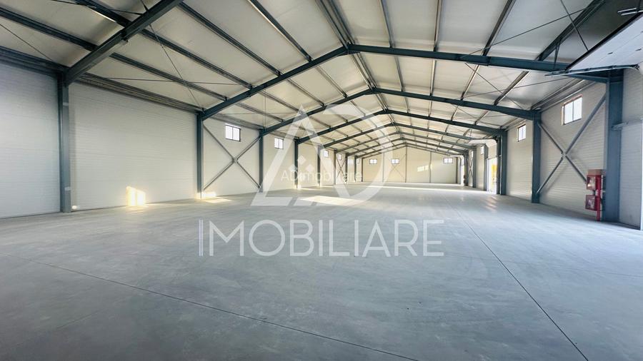 Închiriere hală 1000 mp situată în strada Narciselor , Târgu-Jiu - 6