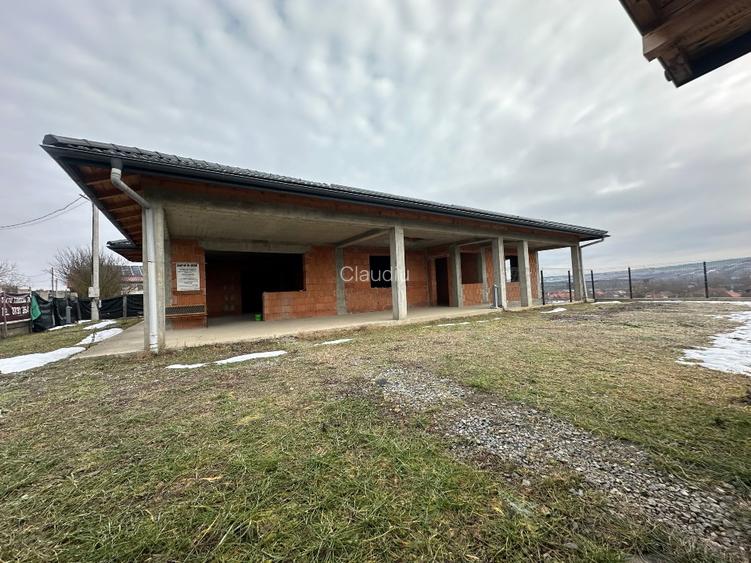 Casa la rosu+teren ST:1800 mp*Pestisu Mare-Deva-Hunedoara+casa veche ! - 7