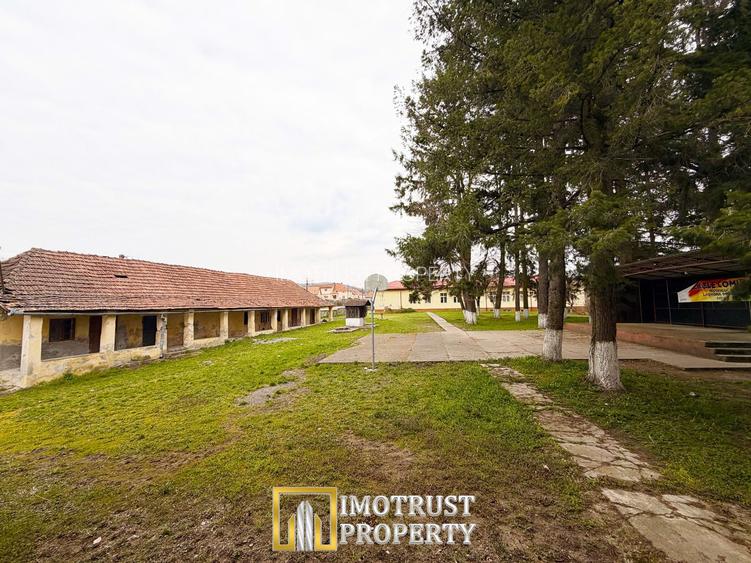 Castel istoric de vânzare în Conop | proprietatea lui Cicio Pop - 9