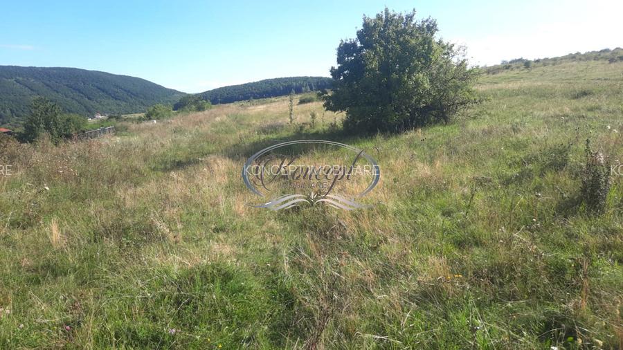 Teren cu autorizatie si utilitati in Salicea - 3