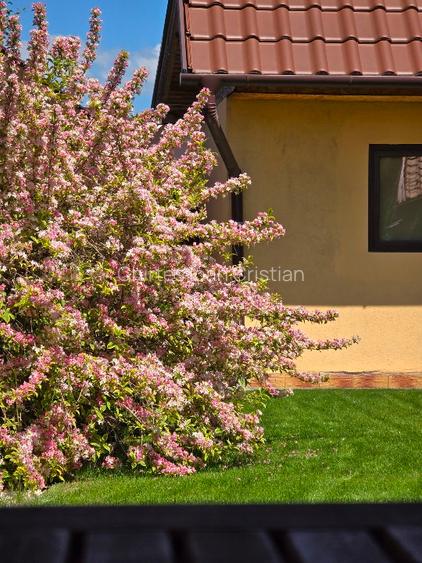 Casă de locuit complet mobilată, construită în anul 2016 - 10