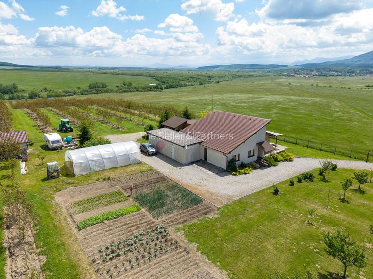 PROPRIETATE CU LIVADA MATURA DE NUCI SI POTENTIAL INVESTITIONAL - 98