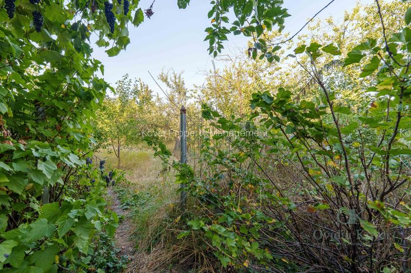 Casă 5 dormitoare, 288 mp utili, teren 1675 mp, Sfântu Gheorghe - 58