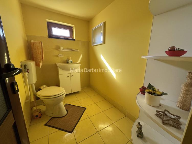 Cladire functiune mixta - Hala productie + locuinta, 400 mp. teren, zona Tunari - 20