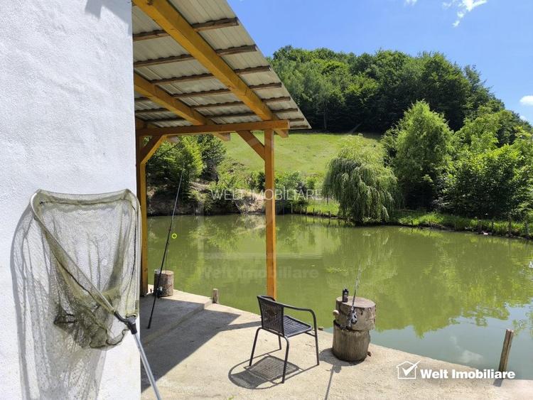 Casa de vacanta, cu lac, 5640 mp teren, Huta, com. Chiuiesti, jud. Cluj - 36