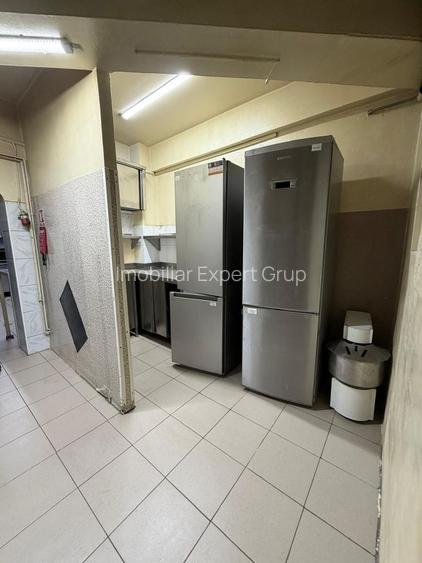 Zona Balcescu Maria Rosetti sp 310 mp P+E1+Terasa - 10