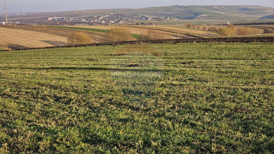 Teren extravilan 10200mp Stroiesti / Soseaua DN17, Suceava - 6